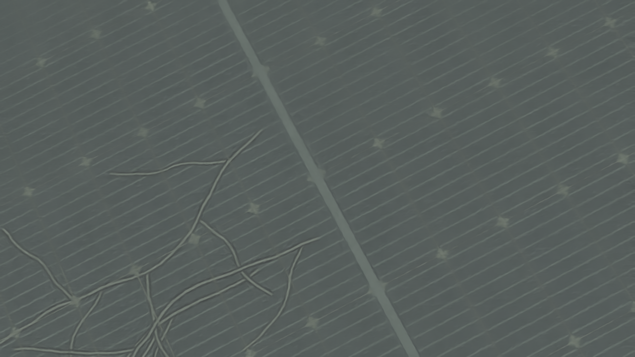 Solar module with branching glass and cell fractures on the left